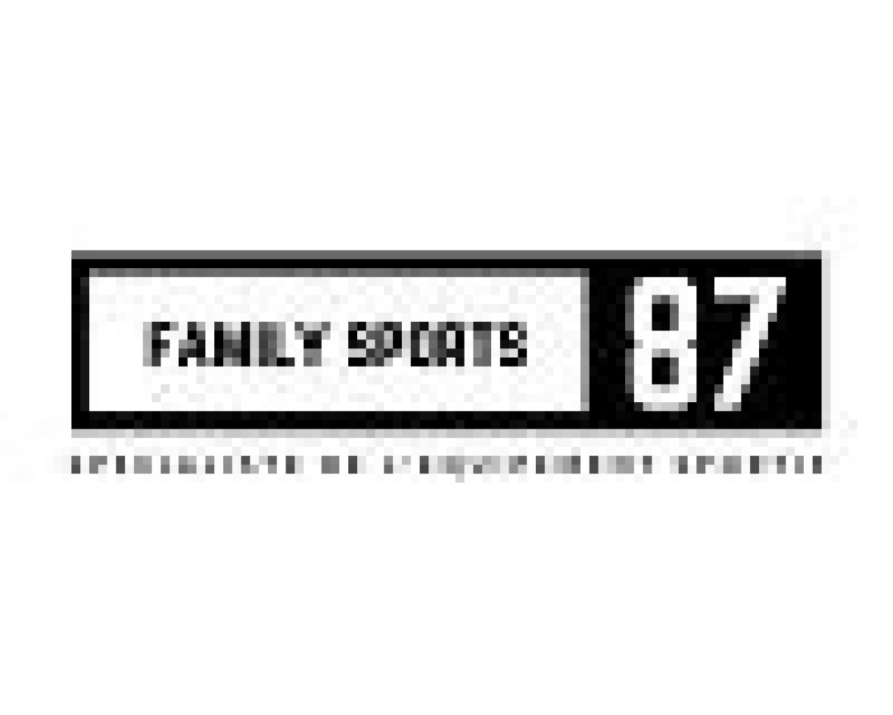 Family Sports 87