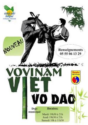 NOUVELLE ACTIVITE : Le VO VI NAM NOUVELLE ACTIVITE : Le VO VI NAM
