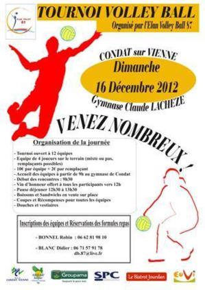 TOURNOI VOLLEY-BALL 2012 TOURNOI VOLLEY-BALL 2012